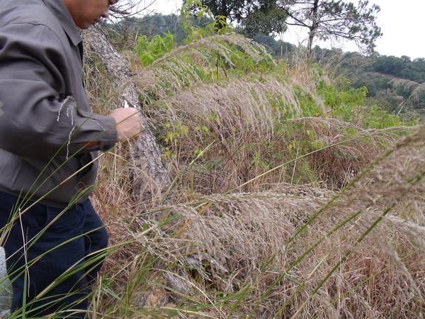 神龙尺(寻龙尺)应用实验 神龙尺(寻龙尺)应用实验
